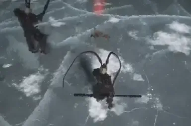 大圣模组