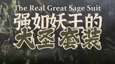 
齐天大圣套装
