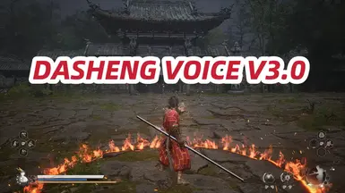 大圣语音 V3.0