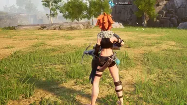 隐藏背包。灯笼。武器