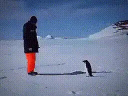 Oh no!