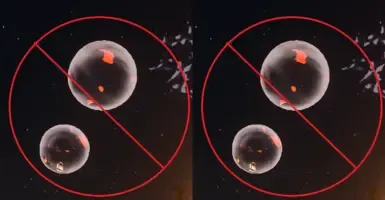 所有帕鲁夜间活动
