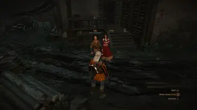 无交互功能的无用NPC
