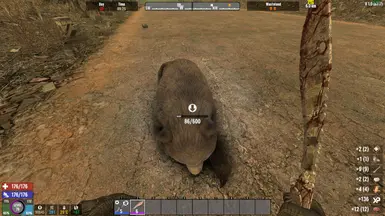 动物血袋 - V1.2 V1.1 V1.0 A21 A19
