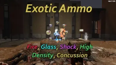 异域弹药