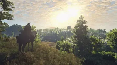 E3 2017 - 真正的狂猎(威兹曼或STLM及陶森特清晰光照)