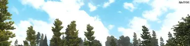 A17 或 A19 永远晴朗