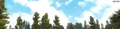 A17 或 A19 永远晴朗