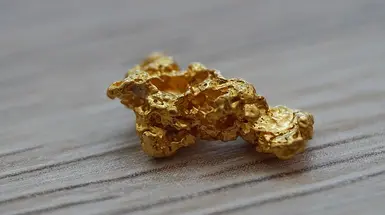 卡杰斯的淘金者与树木模组