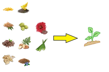 替换随机种子