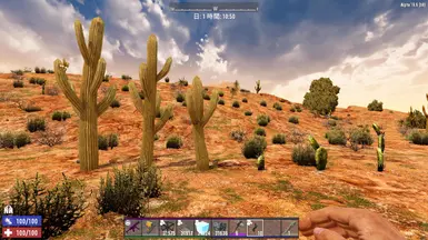 种植的仙人掌