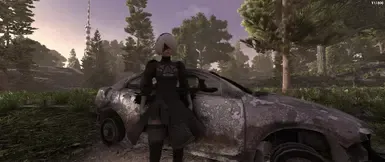 尼尔 2B