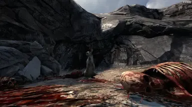 1. 基列的精英
2. 卡本纳格的杀手兔