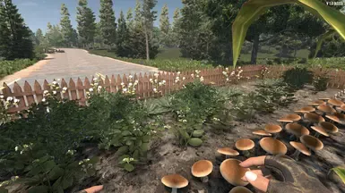 植物转幼苗(V1.0)