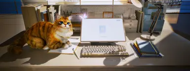 橙色大厅猫