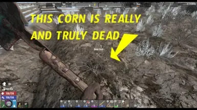 真的死玉米