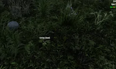 重新种植野生作物 V1.4(服务器端)