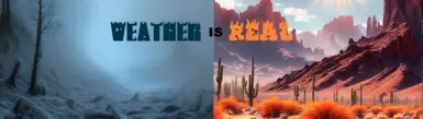 天气是真实的