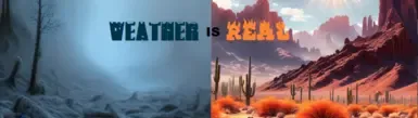 天气是真实的