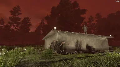 脑死亡泽德