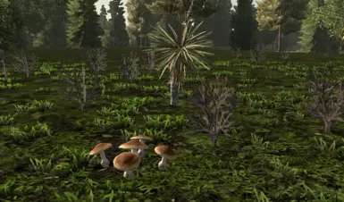 苍白骑手 更好的生物群落 V1.0