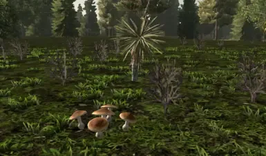 苍白骑手 更好的生物群落 V1.0