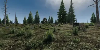 更少草地