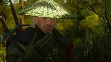 旧帽子(可装备)
