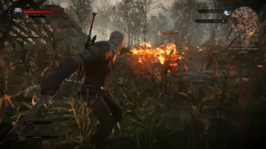 E3 伊格尼
