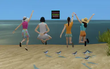 海滩姿势