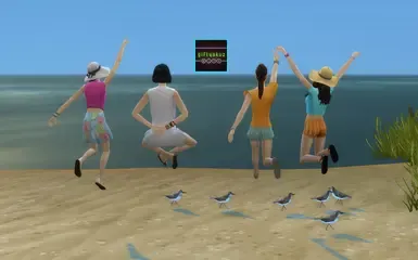海滩姿势