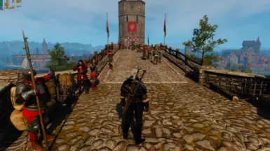 LOD NPC