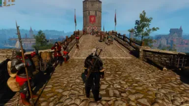 LOD NPC