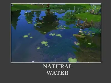 自然水域