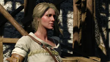 Ciri 灰金色头发