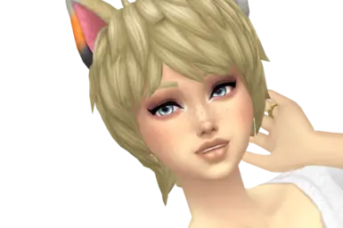 动漫小猫