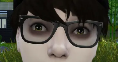 墨镜作为眼镜