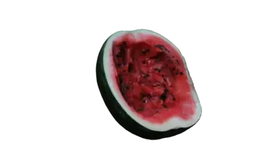 西瓜食物装饰 8K