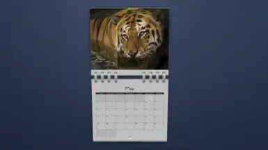 大型猫科动物日历