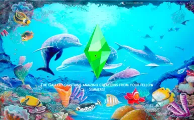 海豚与海洋生物