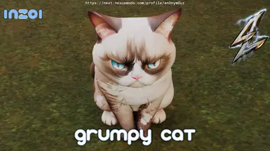 暴躁猫