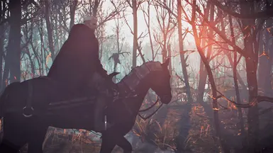Swords On The Hip 插件和一切都在 Roach 上