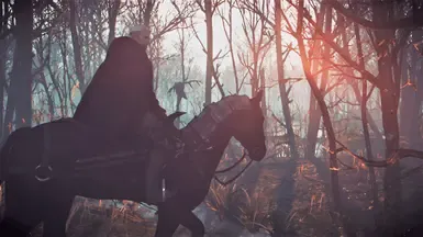 Swords On The Hip 插件和一切都在 Roach 上