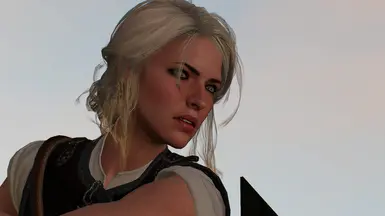 1
Ciri 轮回眼