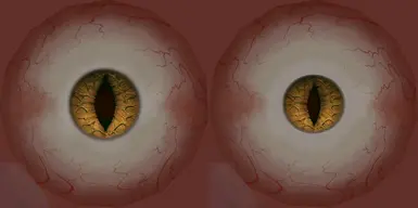 瞳孔较小且收缩的眼睛