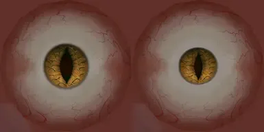 瞳孔较小且收缩的眼睛