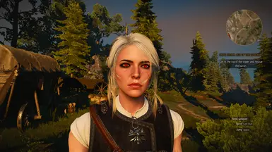 Ciri 写轮眼