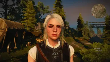 Ciri 写轮眼