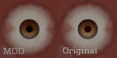 普通眼睛重制纹理