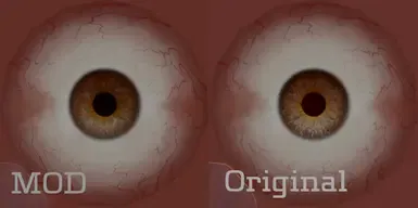 普通眼睛重制纹理